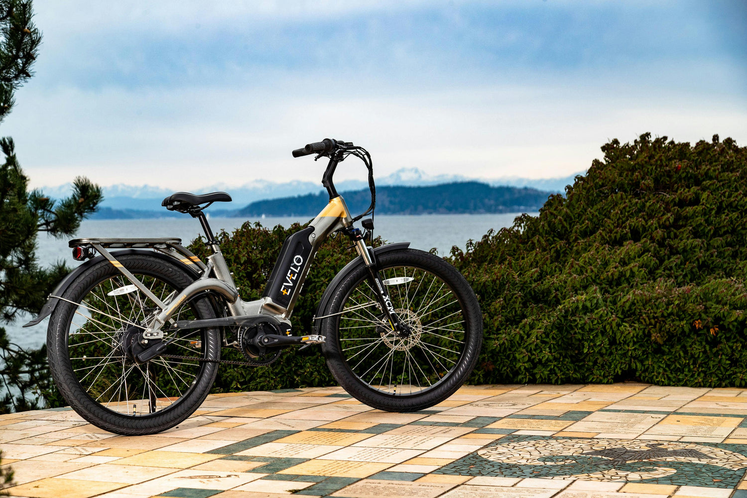 E-Bikes